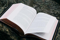 Open Bible on a Rock in Nature  image 6