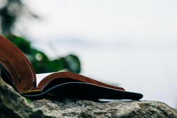 Open Bible on a Rock in Nature  image 1