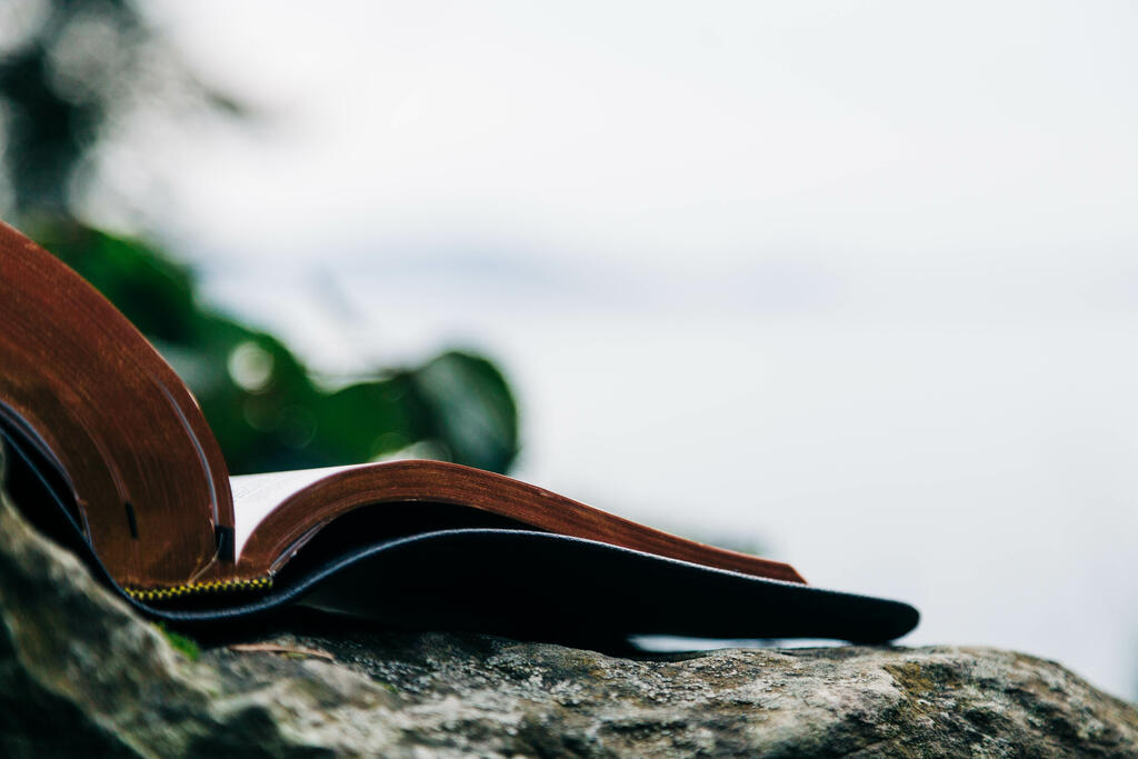 Open Bible on a Rock in Nature large preview