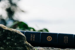 Bible on a Rock in Nature  image 1