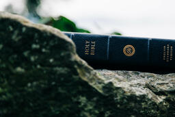 Bible on a Rock in Nature  image 2