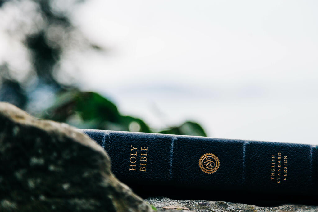 Bible on a Rock in Nature large preview