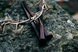 The Crown of Thorns and Crucifixion Nails on a Rock in Nature  image 2