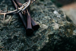 The Crown of Thorns and Crucifixion Nails on a Rock in Nature  image 6