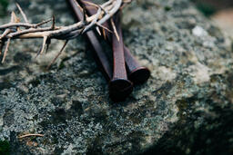 The Crown of Thorns and Crucifixion Nails on a Rock in Nature  image 4
