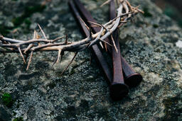 The Crown of Thorns and Crucifixion Nails on a Rock in Nature  image 1