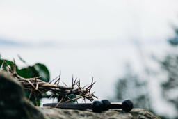 The Crown of Thorns and Crucifixion Nails on a Rock in Nature  image 2
