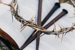 The Crown of Thorns and Crucifixion Nails on an Open Bible  image 3