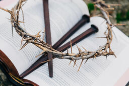 The Crown of Thorns and Crucifixion Nails on an Open Bible  image 1