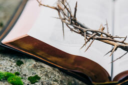 The Crown of Thorns Sitting on an Open Bible  image 2