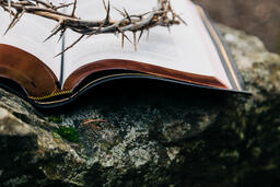 The Crown of Thorns Sitting on an Open Bible  image 3