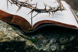 The Crown of Thorns Sitting on an Open Bible  image 1