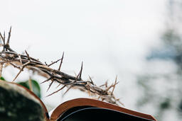 The Crown of Thorns Sitting on an Open Bible  image 4