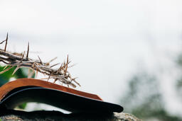 The Crown of Thorns Sitting on an Open Bible  image 2
