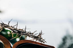 The Crown of Thorns Sitting on an Open Bible  image 1