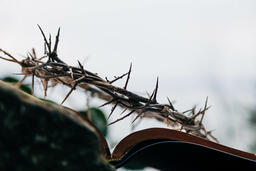 The Crown of Thorns Sitting on an Open Bible  image 3