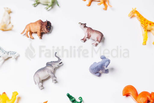 Toy Animals