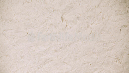 Plaster Wall Texture
