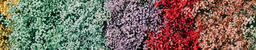 Multi-Colored Baby's Breath  image 6