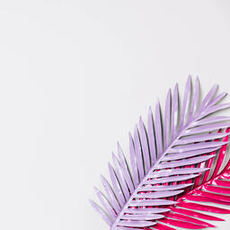 Hot Pink and Purple Palm Leaves  image 5