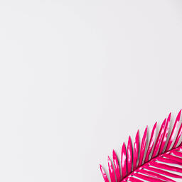 Hot Pink Palm Leaf  image 7