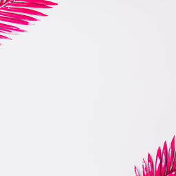 Hot Pink Palm Leaf  image 10