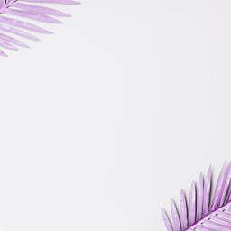 Purple Palm Leaf  image 11