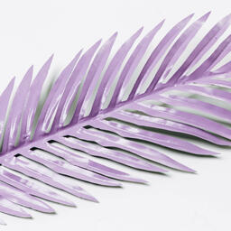 Purple Palm Leaf  image 9