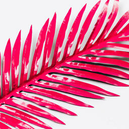 Hot Pink Palm Leaf  image 6