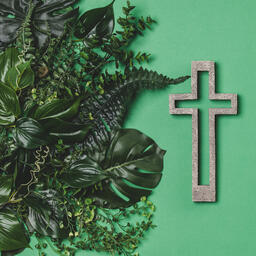 Green Foliage with a Concrete Cross Outline  image 3