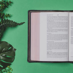 Green Foliage with an Open Bible  image 3