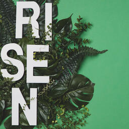 RISEN Letters in Greenery  image 4