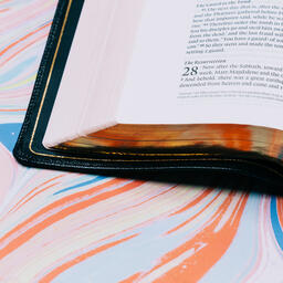 Bible Open to Matthew 28 on Pastel Marbled Background  image 5