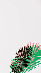 Pink, Green and Gold Paper Palm Leaves  image 9