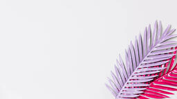 Hot Pink and Purple Palm Leaves  image 2