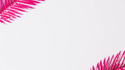 Hot Pink Palm Leaf  image 9