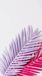 Hot Pink and Purple Palm Leaves  image 4