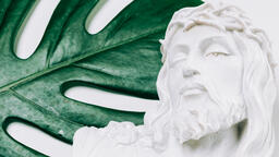 Christ Statue and Modern Foliage  image 4