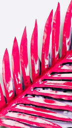 Hot Pink and Purple Palm Leaves  image 5