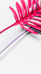 Hot Pink and Purple Palm Leaves  image 3