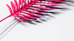 Hot Pink and Purple Palm Leaves  image 6