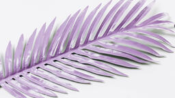 Purple Palm Leaf  image 7