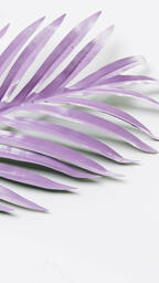Purple Palm Leaf  image 11