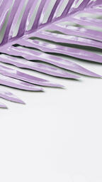 Purple Palm Leaf  image 4