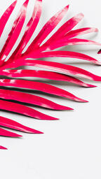 Hot Pink Palm Leaf  image 4