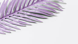 Purple Palm Leaf  image 5
