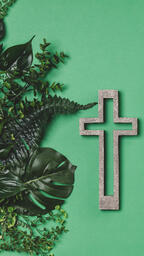 Green Foliage with a Concrete Cross Outline  image 2