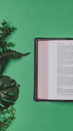 Green Foliage with an Open Bible  image 2
