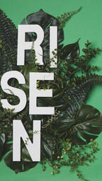 RISEN Letters in Greenery  image 5