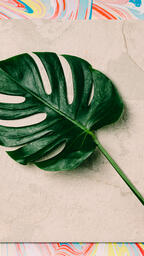 Monstera Leaf on Pastel Marbled Background  image 4